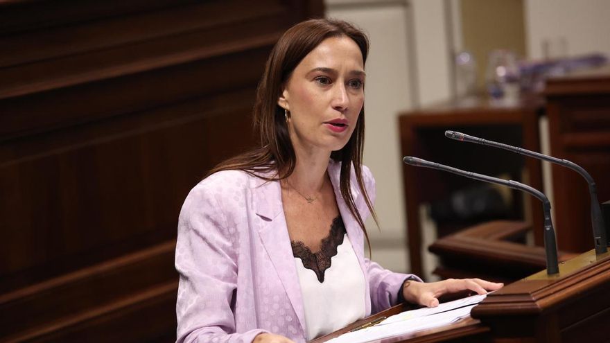 El PSOE, al PP de Canarias: "Dedican más tiempo a atacar a Torres que a resolver los problemas" de las Islas
