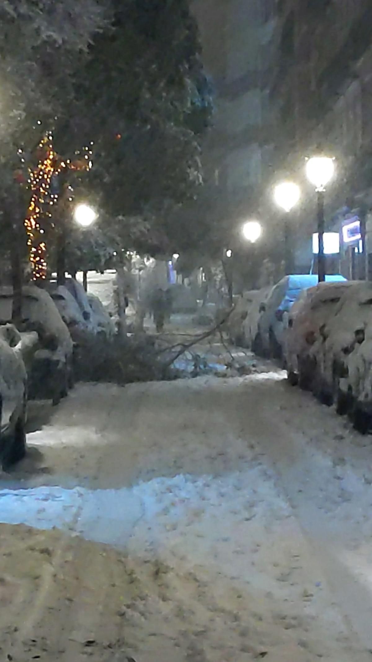 Ramas y árboles caídos en Malasaña a causa de la nieve