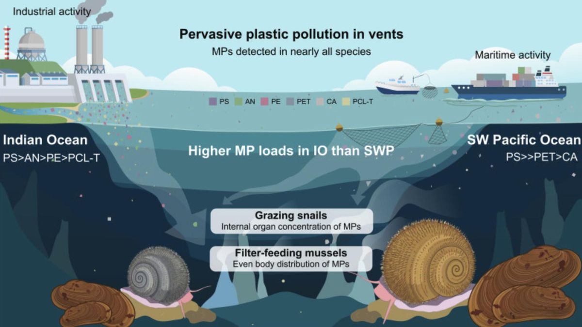 Las partículas pertenecían sobre todo a un material habitual en envases y embalajes