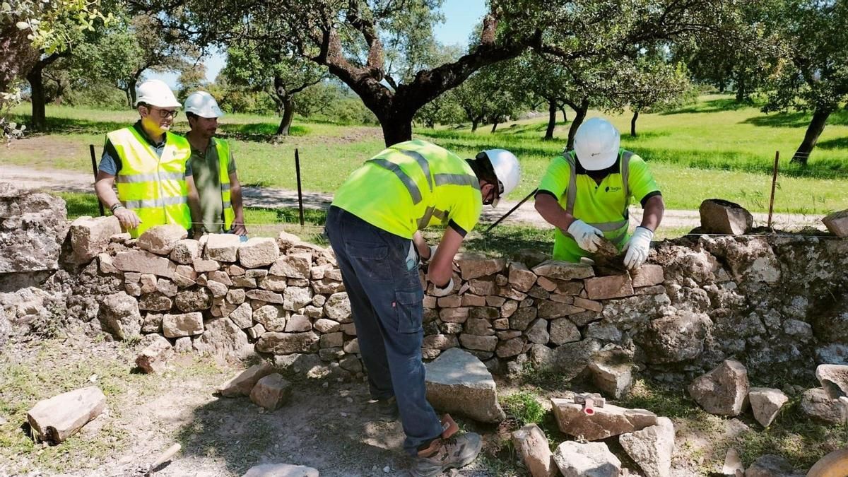 Obras en la vía pecuaria 'Vereda de Valdecañas', en Cardeña, en 2022.