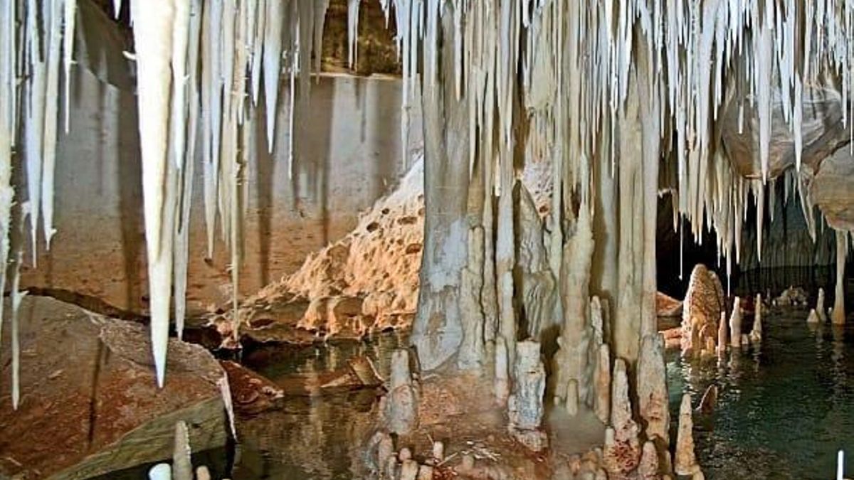 La cova del Pas de Vallgornera, hallada en 1968 y que tiene encima una urbanización de lujo