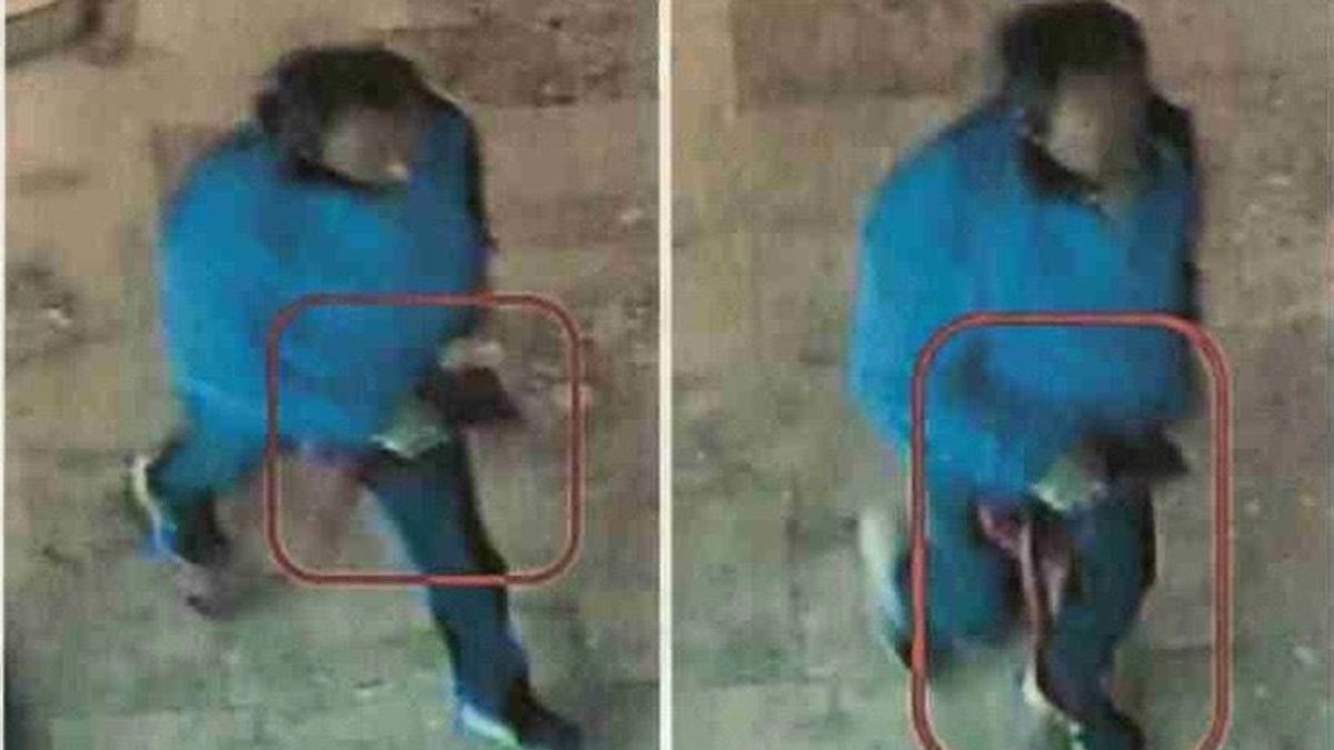 Detenido por robos con fuerza en viviendas de Logroño: se movía por los tejados y entraba por las terrazas a plena luz del día