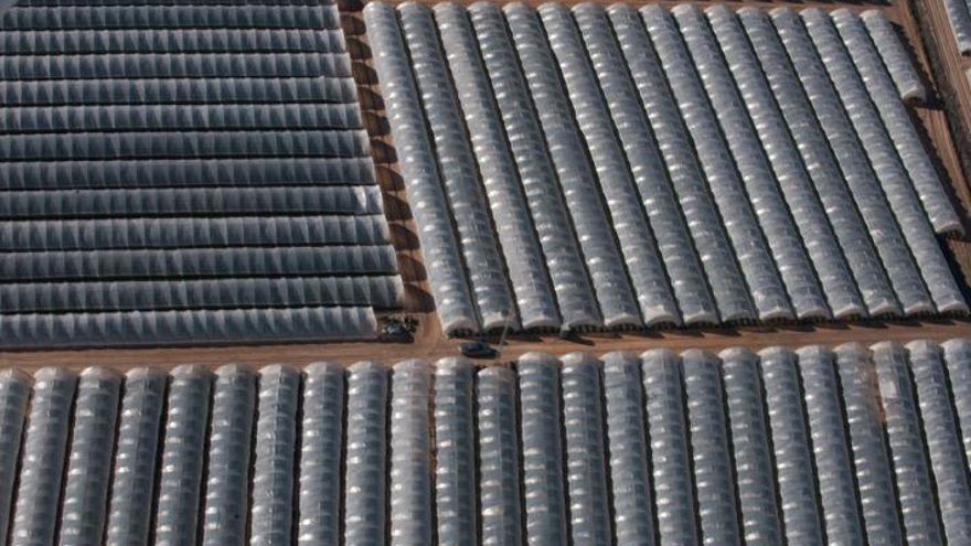 Los científicos alertan: "Legalizar las extracciones de agua ilegales puede ser la sentencia de muerte para Doñana"