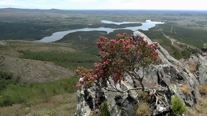 El Gobierno permite construir en Cepeda tres macroparques solares que serán casi 4 veces más grandes que el pantano de Villameca