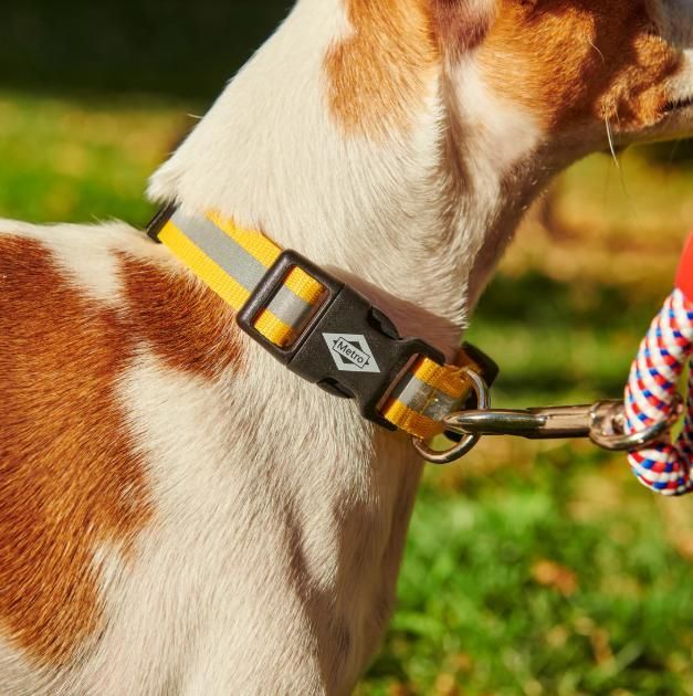 Collar de perros con el logo de Metro de Madrid.