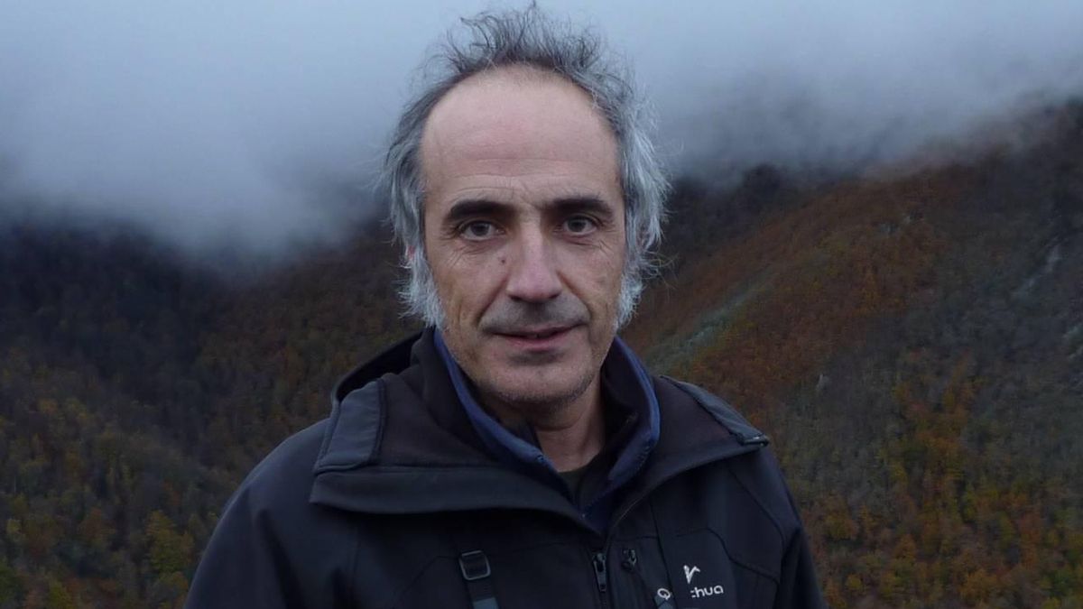 Alberto Fernández-Gil: “Hay autonomías que consideran favorable el estado del lobo contra toda evidencia científica”