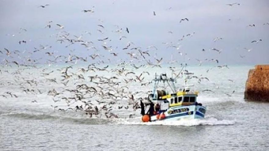 Cómo comprar pescado sostenible sin que nos engañen (o al menos intentarlo)