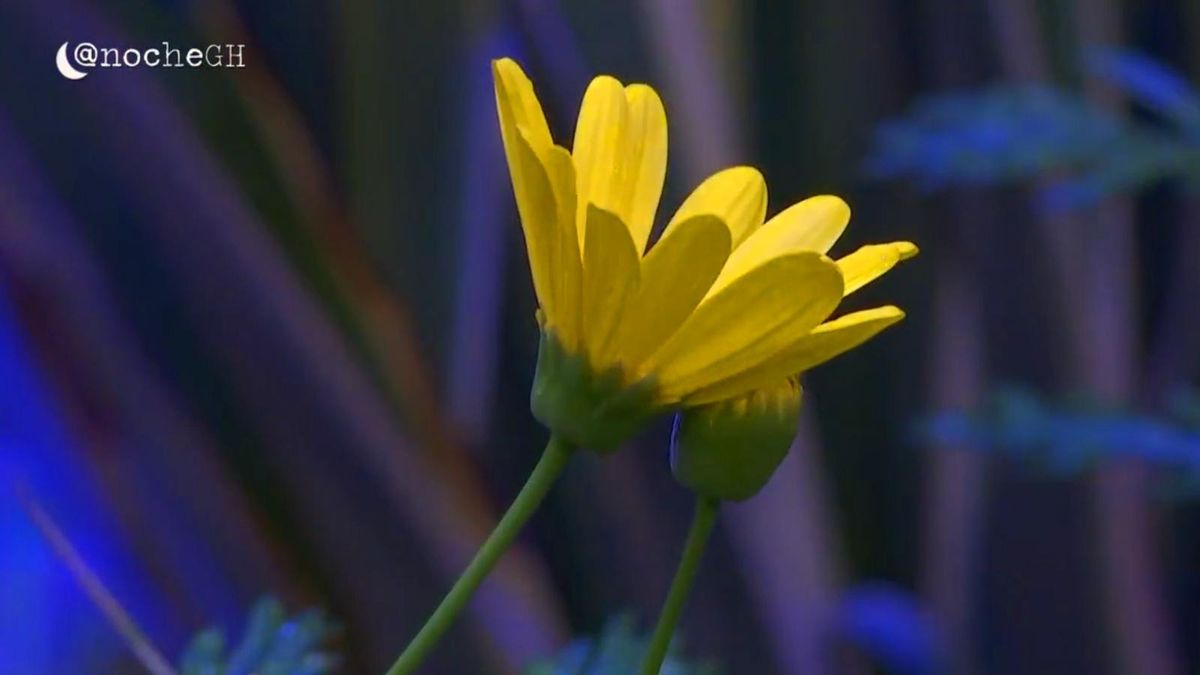 Imagen del corte de la señal del Canal 24 horas