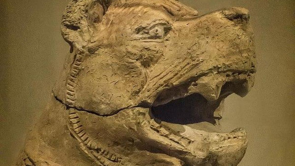 Mesopotamia entrenó perros para la guerra hace 4.000 años y los trató como soldados sagrados