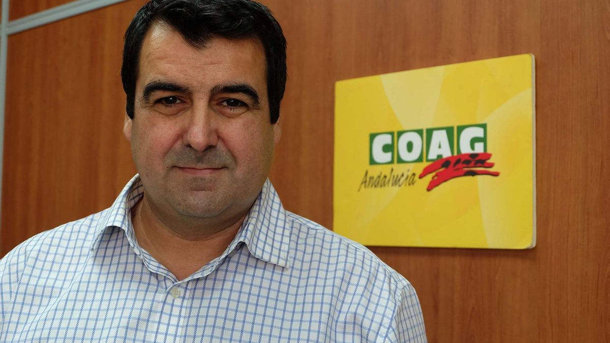 Archivo - El secretario provincial de COAG en Almería y responsable estatal de Frutas y Hortalizas de la organización, Andrés Góngora.
