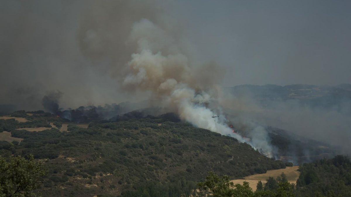 Columnas de humo en el incendio en las Cinco Villas