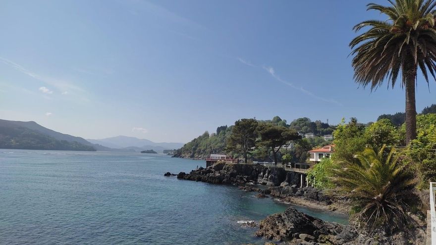 La mitad de los jóvenes vascos cree que la lucha contra el cambio climático debería ser una prioridad para Euskadi
