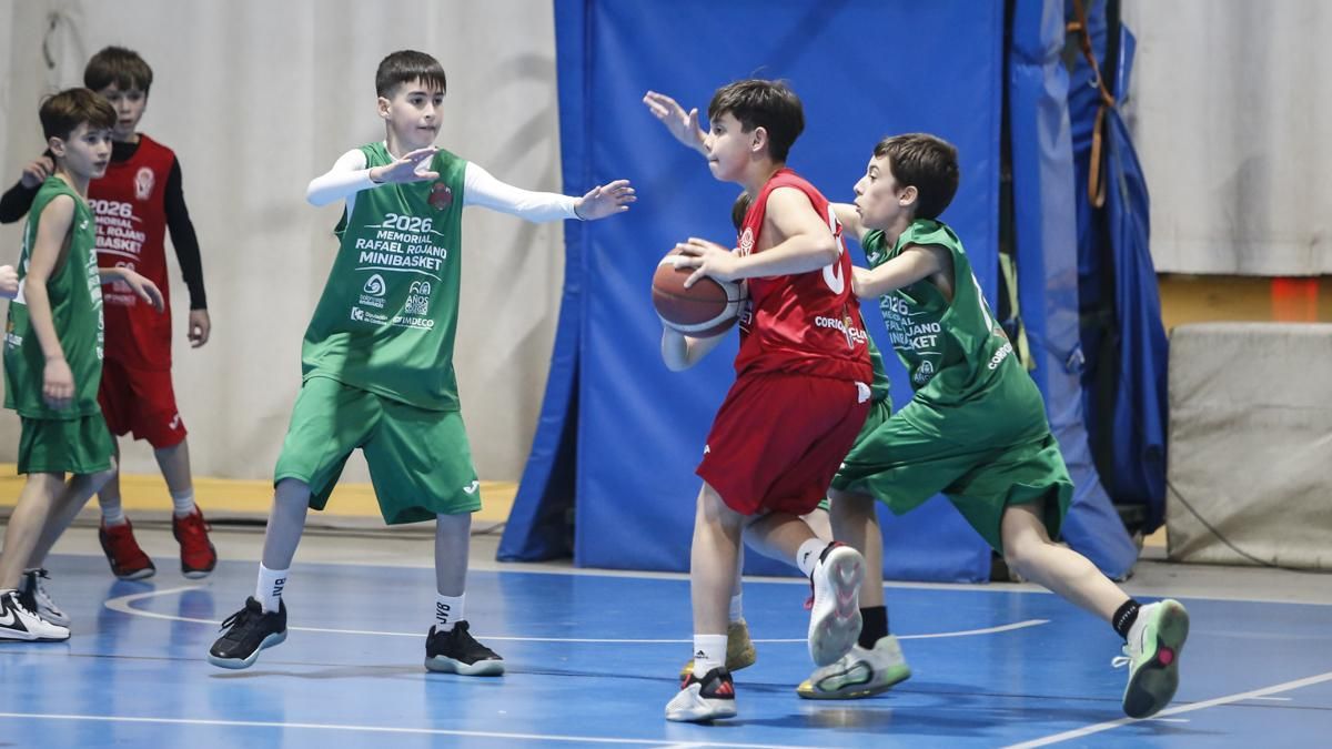 Memorial Rafael Rojano de Minibasket