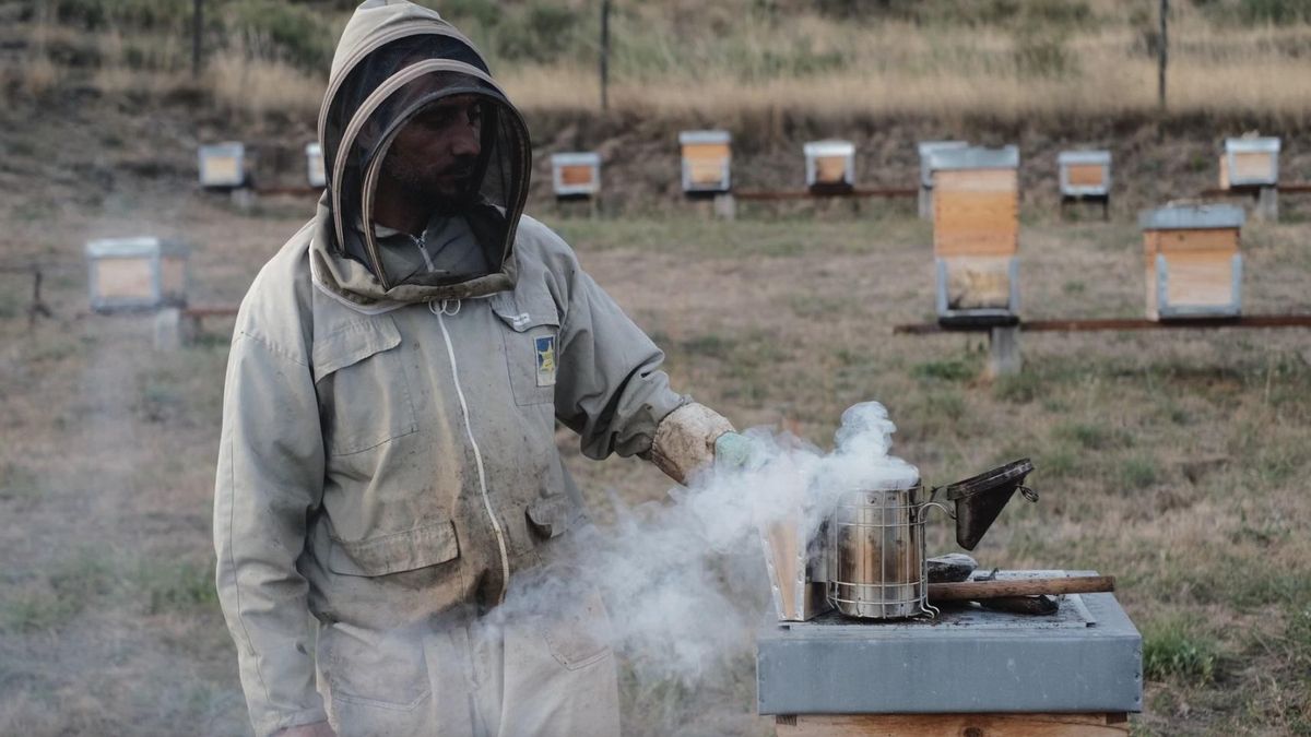 Documentar la vida y memoria en la Maragatería: donde las manos marcan el pulso del tiempo