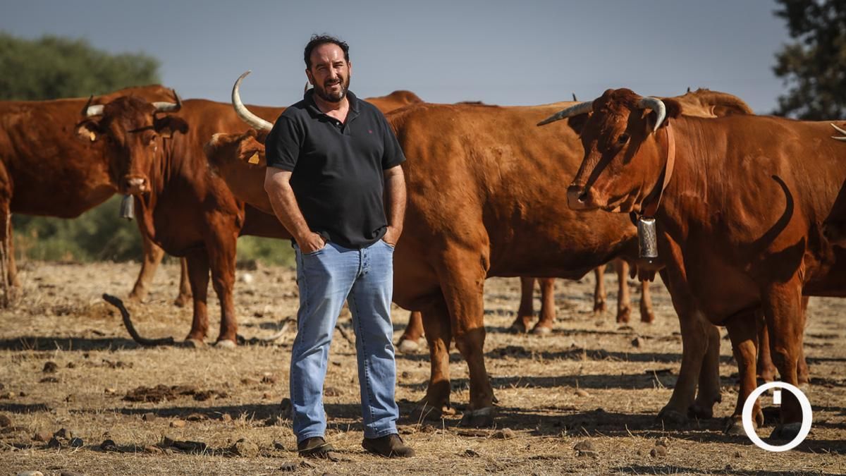 Felipe Molina, responsable de la ganadería Las Albaidas