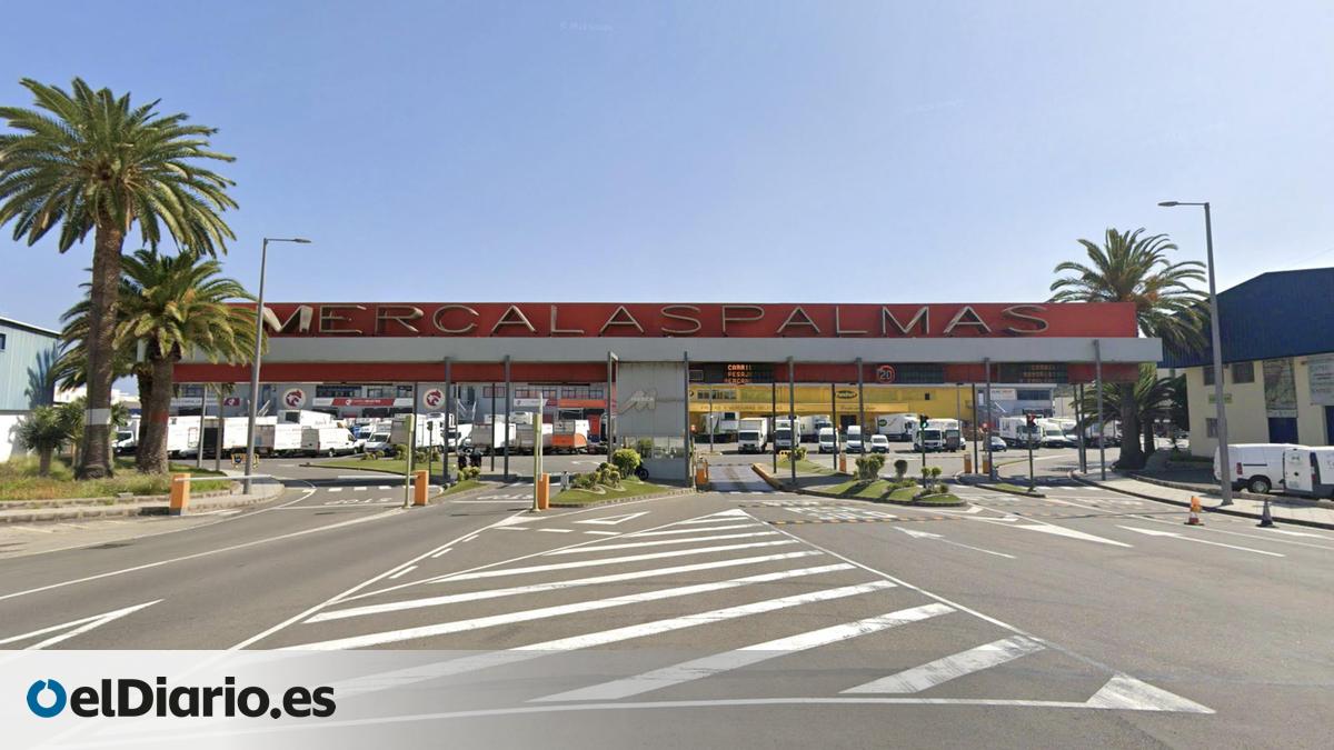 Empresarios de Mercalaspalmas denuncian la situación "pésima" de las instalaciones