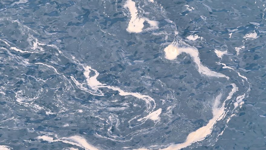 Aparecen nuevas manchas de residuos en la costa de Telde y peces muertos en las jaulas marinas
