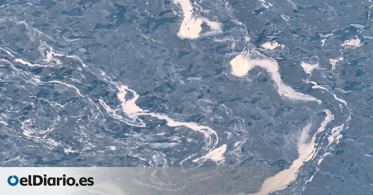 Vuelven a aparecer nuevas manchas de residuos en la costa de Telde y peces muertos en las jaulas marinas