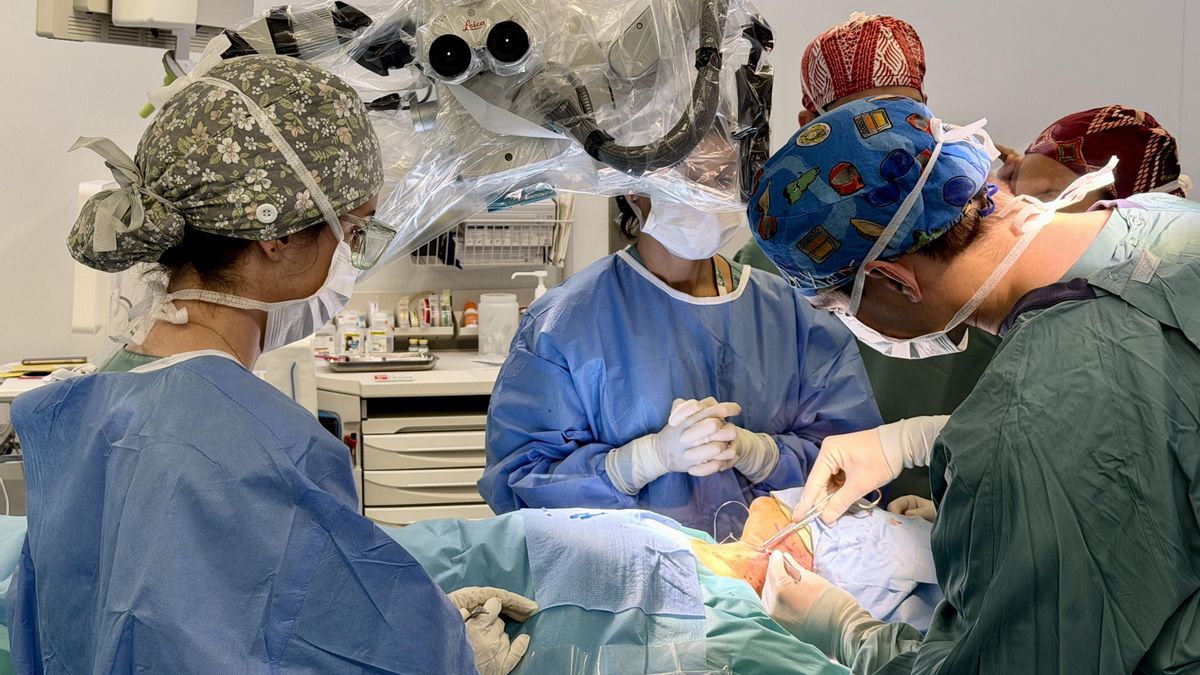 Una técnica experimental trata de frenar el deterioro cognitivo del alzheimer en quirófano