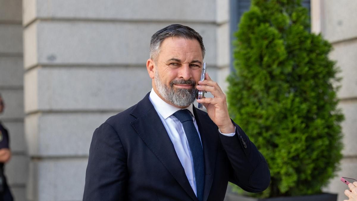 Vox v Španiji vložil tožbo zaradi upravljanja z gozdnimi požari