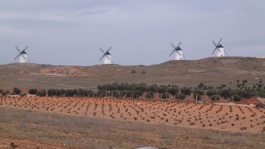 Asaja advierte que Castilla-La Mancha pierde "35 millones de euros" por no poder aplicar los ecorregímenes de la PAC