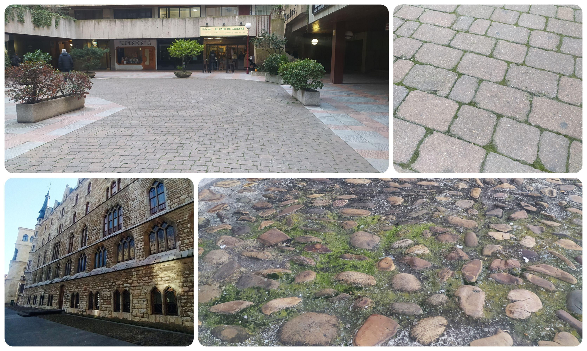 Imágenes de verdín en el Complejo de Santo Domingo y en Botines.