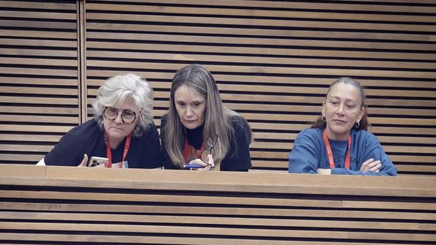 Representants de les víctimes de la dana segueixen el ple. 