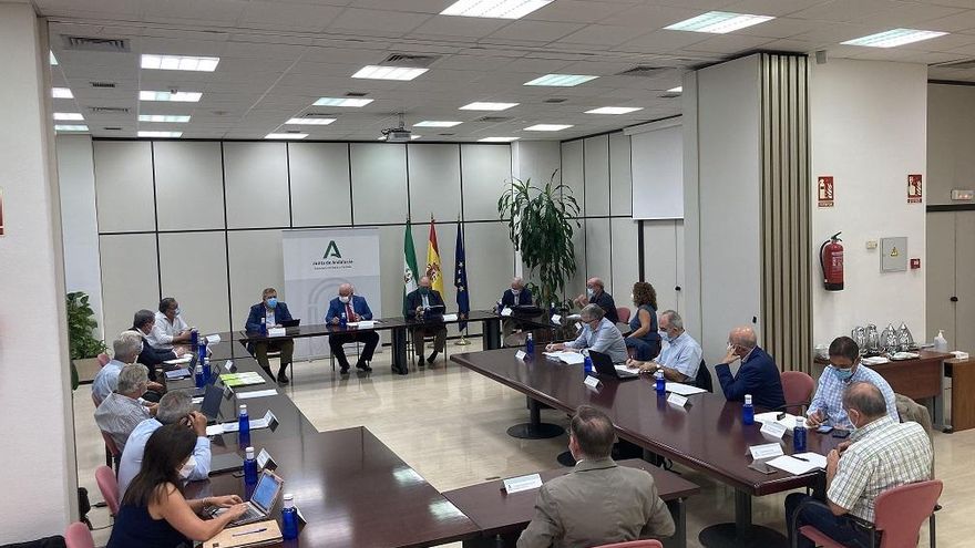 25 de agosto: primera reunión del Comité Asesor Externo para el balance de gestión y propuestas de mejora pandemia Covid-19 en Andalucía