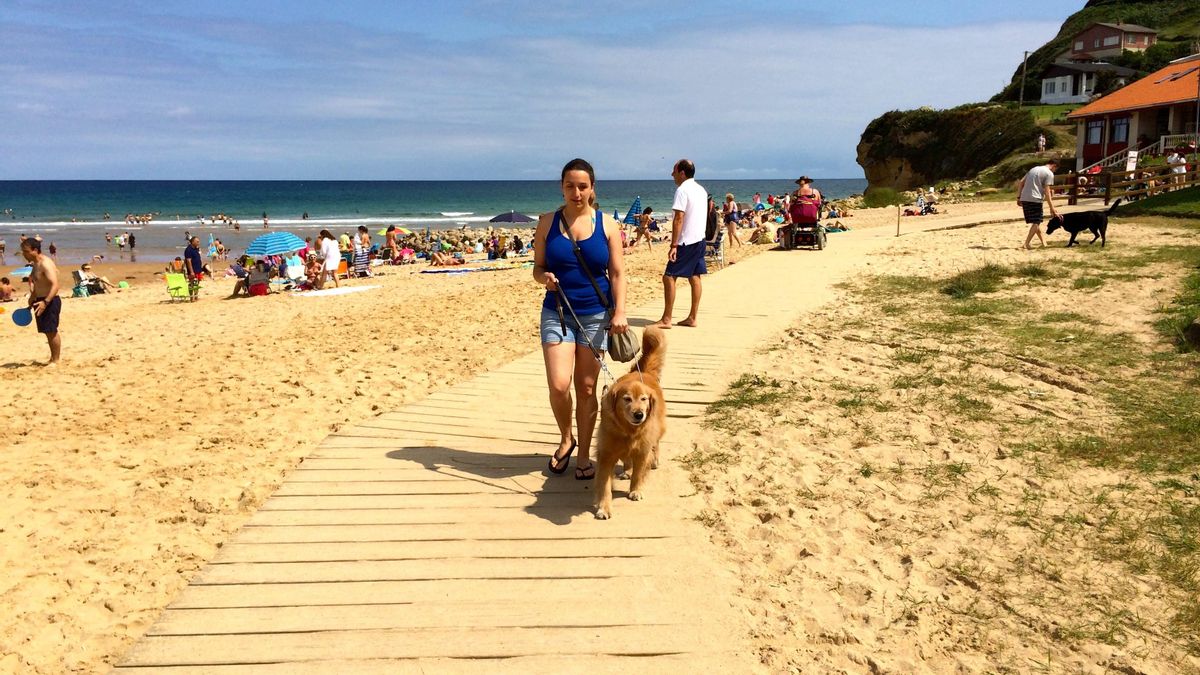 Viajando con un perro guía