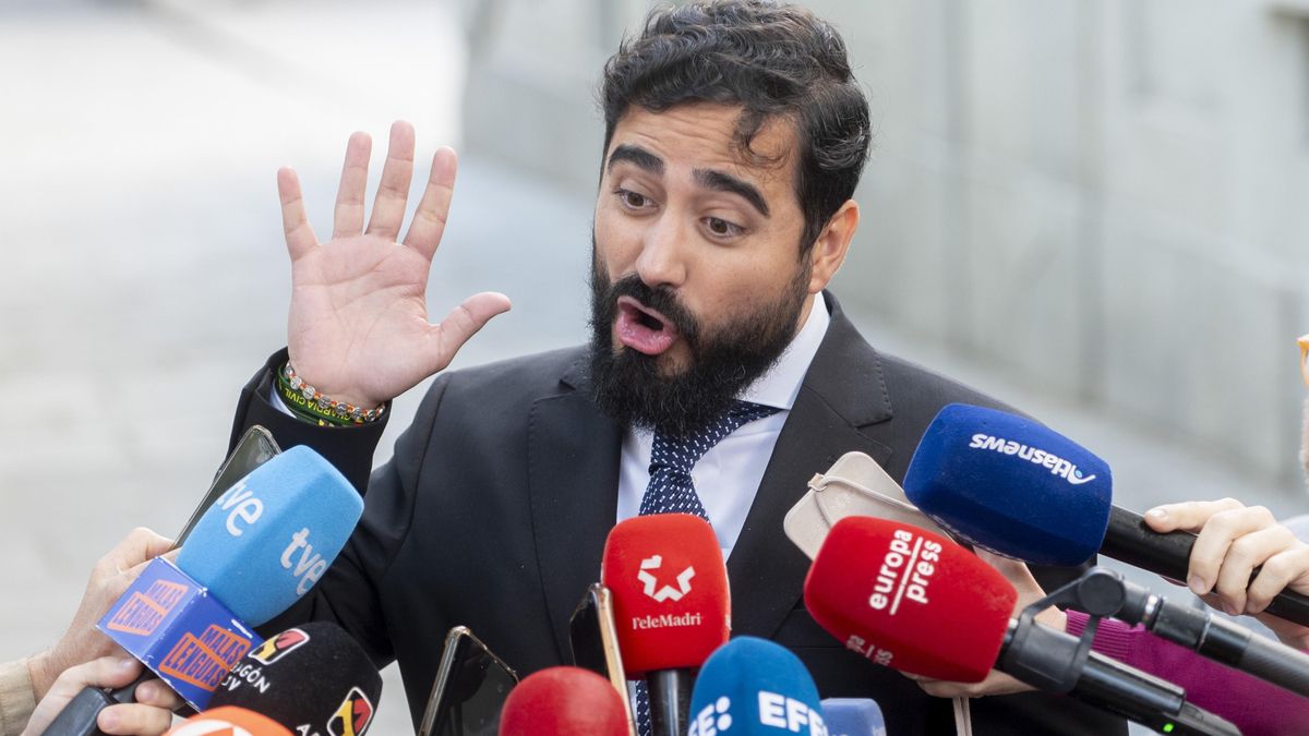 El eurodiputado y líder de Se Acabó La Fiesta (SALF), Luis 'Alvise' Pérez