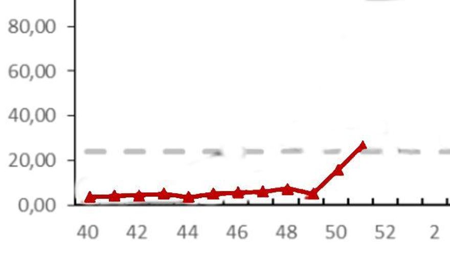 La gripe en la Comunidad Madrid llegó a niveles epidémicos antes de Navidad y su incidencia puede elevarse en las fiestas