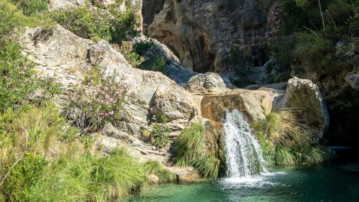 Esta es la ruta granadina en la que puedes ver troncos convertidos en rocas por el efecto del agua