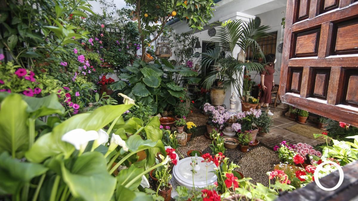 La Fiesta de los Patios: ruta de Santa Marina-San Agustín