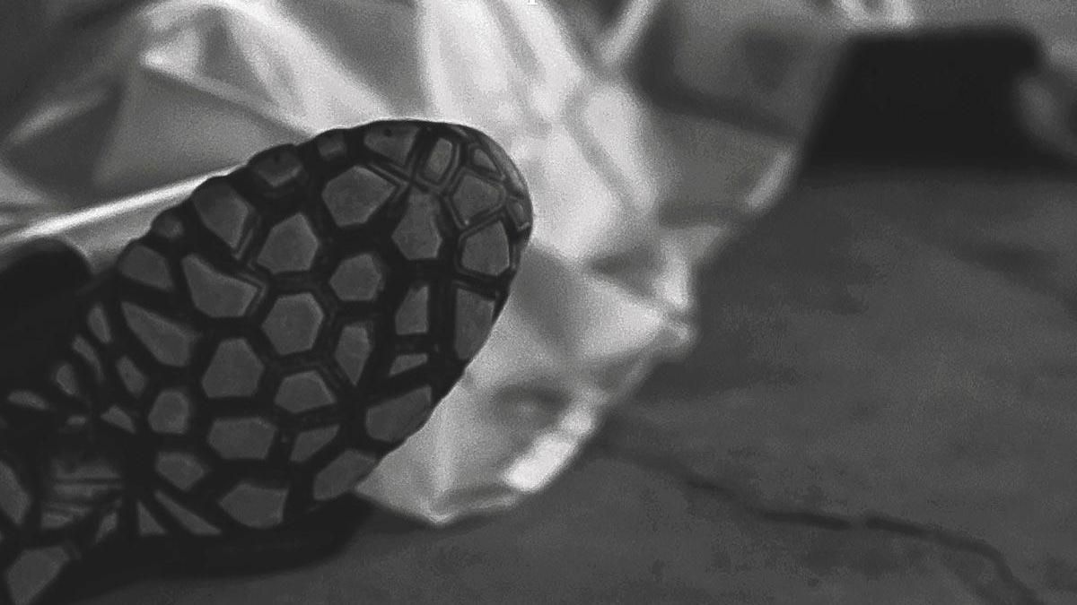 Detalle de la portada del libro.