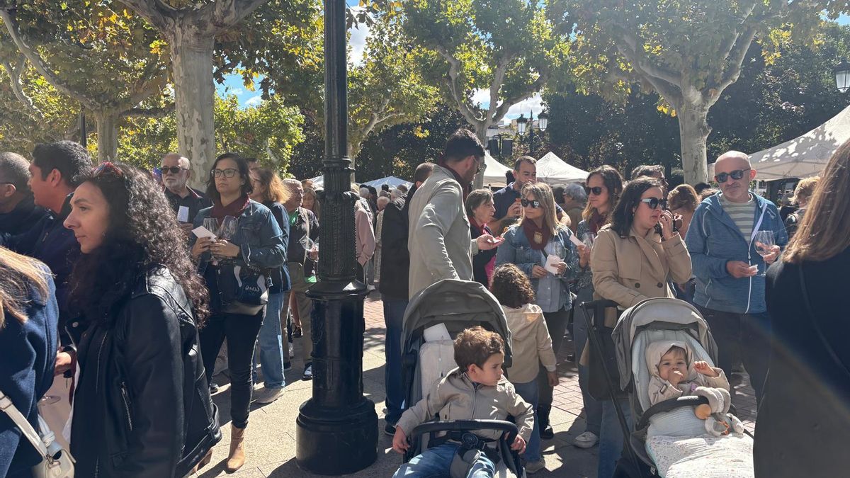 De pinchos y vinos por el Espolón, San Mateo 2025