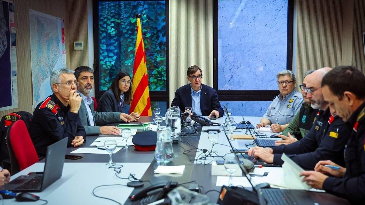 Illa anuncia una auditoría en el laboratorio sospechoso de originar el brote de peste porcina