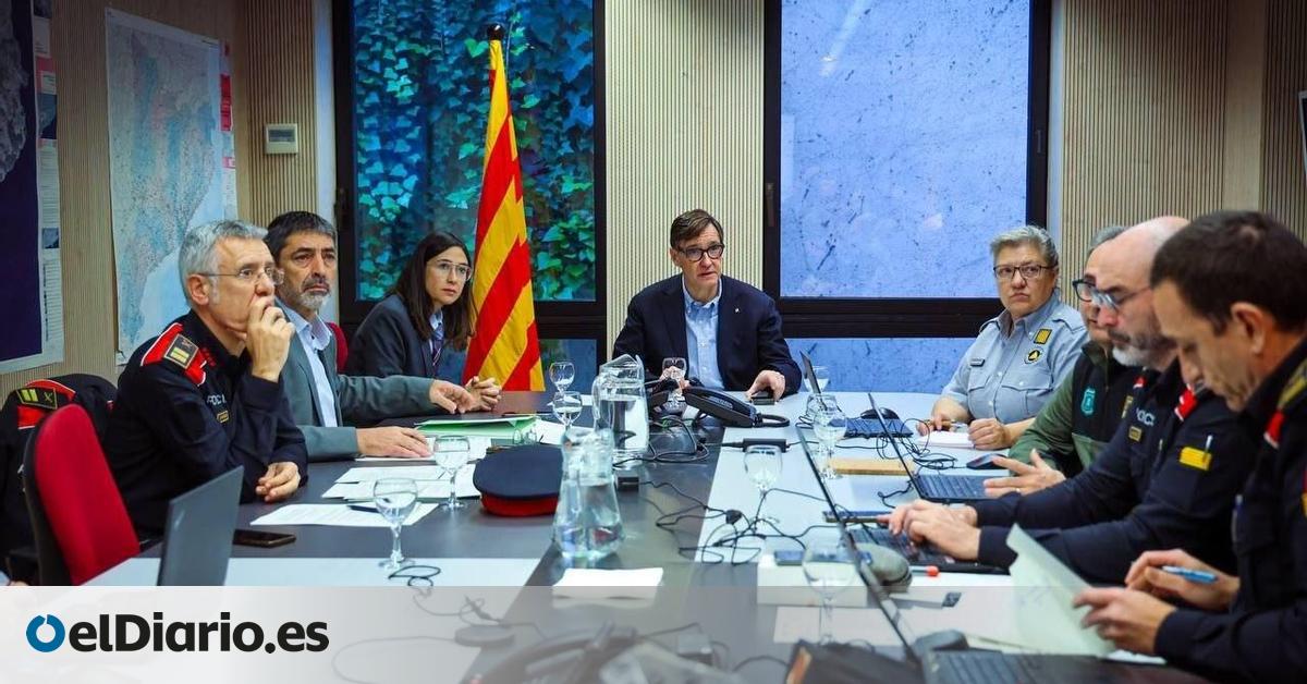 돼지열병 의심 연구소 감사, 진실은 무엇일까요? 🧐