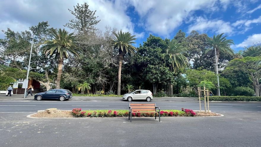 El Colegio de Arquitectos interviene ante la tala de árboles en Santa Cruz de Tenerife: "Tiene un fuerte impacto paisajístico y social"