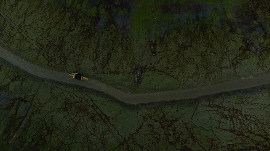 La sequía en la Amazonía brasileña puede ser histórica y extenderse hasta enero