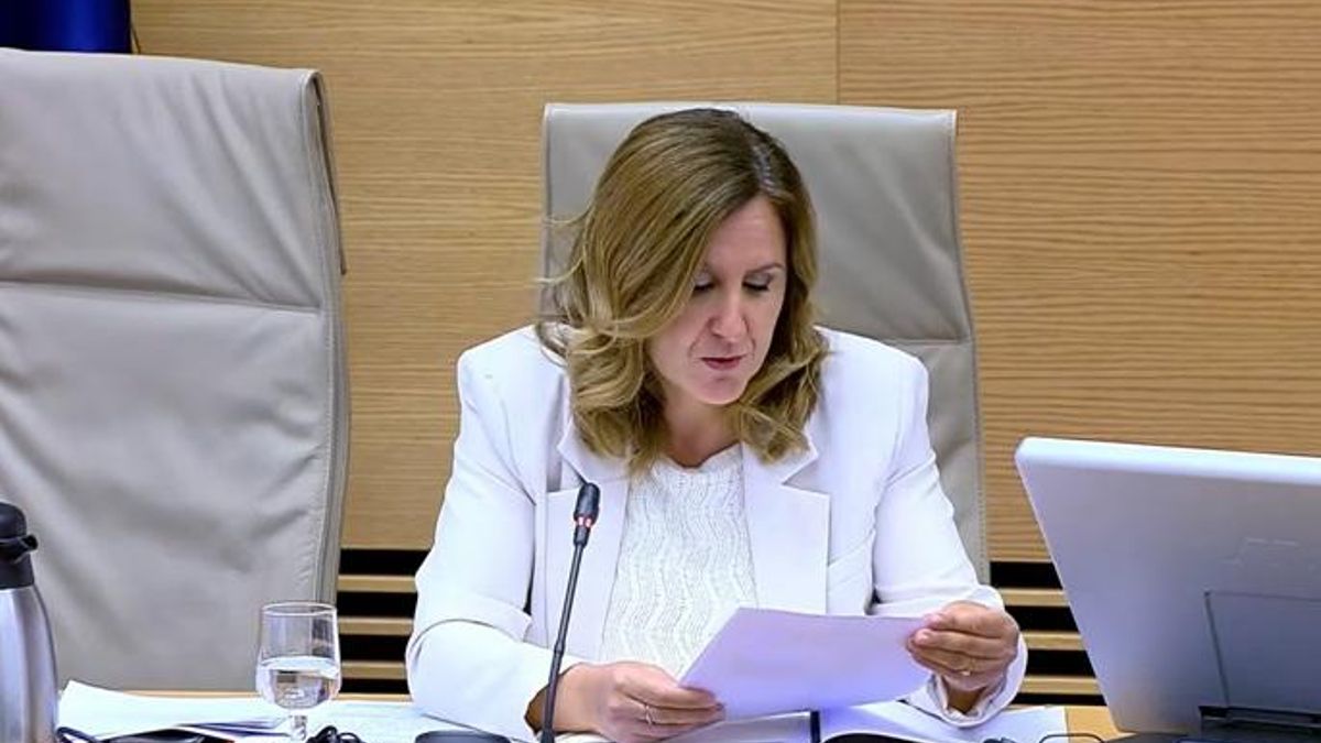 Catalá, en la comisión de la dana del Congreso: "El primer aviso que recibimos de inundación fue a las 20.04 en la estación de València Sud"