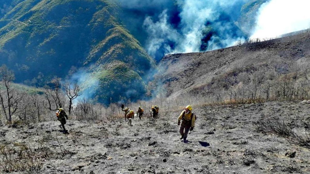 Castilla y León rebaja en 25.000 hectáreas los cálculos de los expertos de la superficie arrasada por los incendios