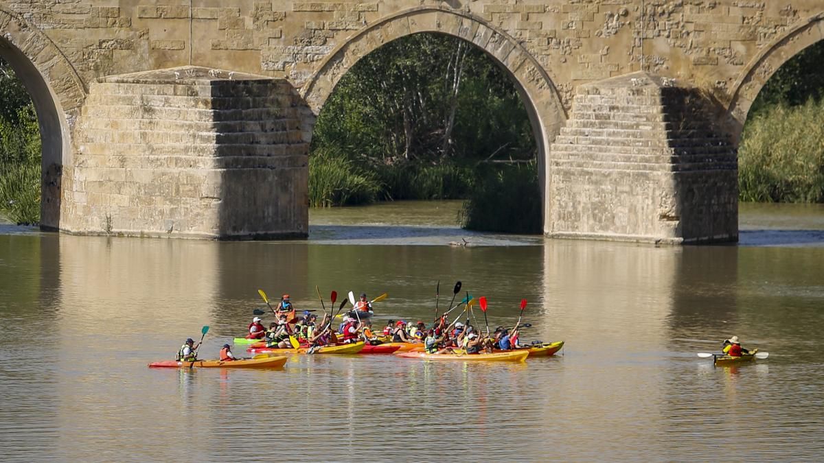 Ruta del Caimán 2026