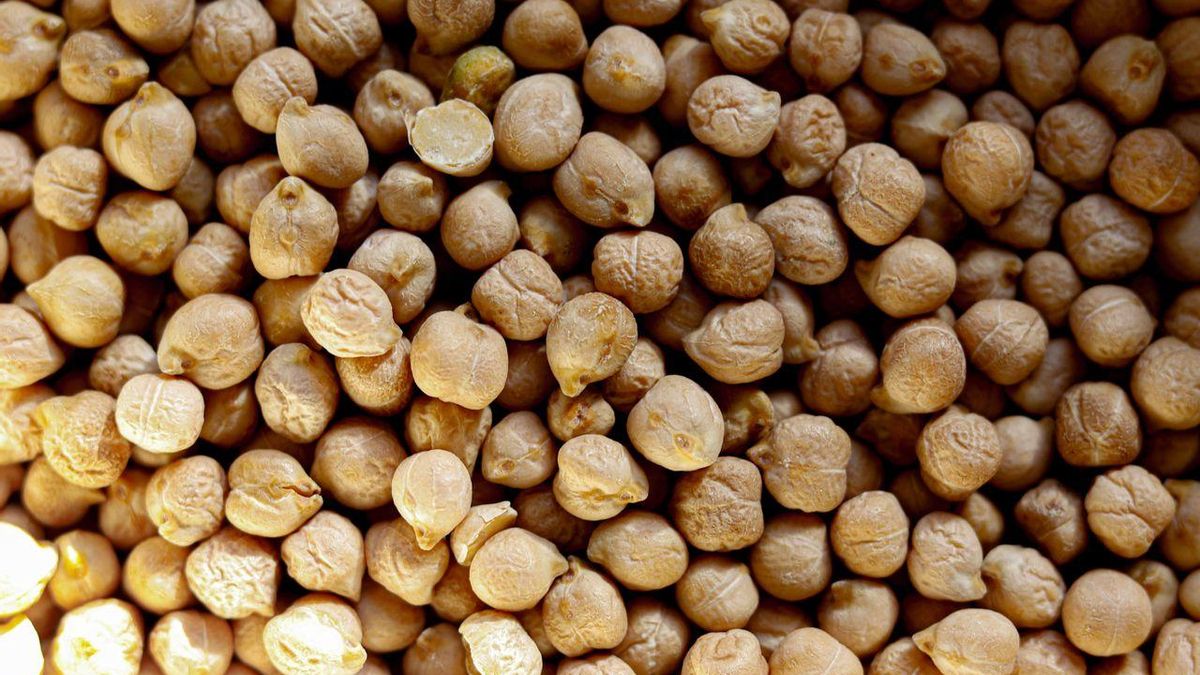 La base de este plato son las legumbres, mas específicamente los garbanzos