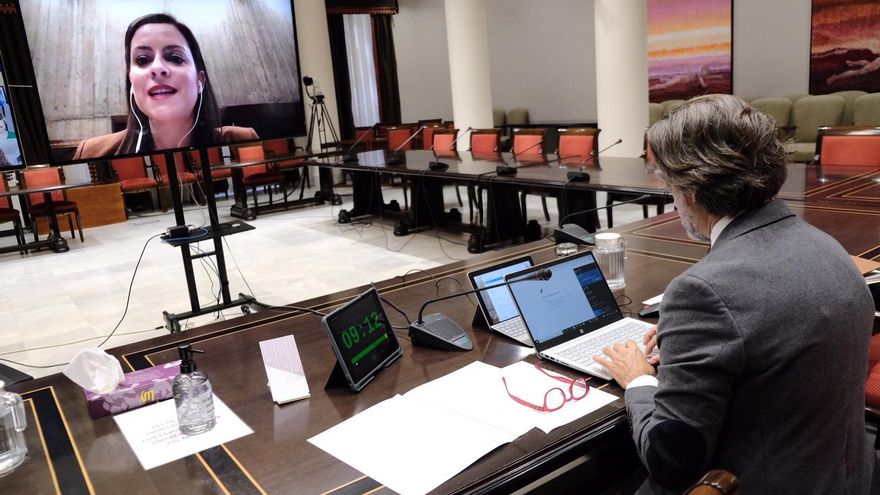 La consejera de Turismo, Industria y Comercio del Gobierno de Canarias, Yaiza Castilla, comparece por videoconferencia en la Diputación Permanente