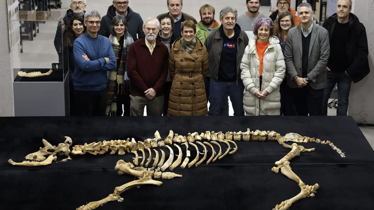 Los restos conservan el impacto de un proyectil entre las costillas