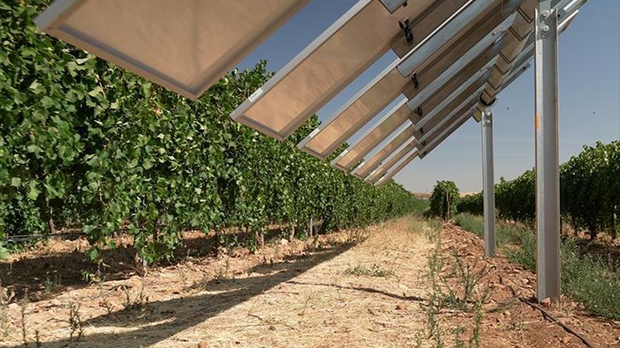 En busca de la “combinación” de la energía solar con cultivos de agricultura ecológica: llega la bioagrovoltaica
