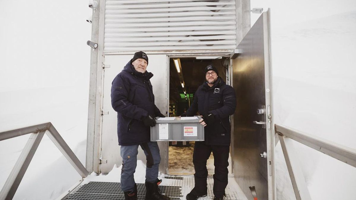 Cajas con muestras de semillas de olivo entran por primera vez en el banco de semillas de Svalbard (Noruega), el mayor del mundo. EFE/ Grid Arendal -SÓLO USO EDITORIAL/SOLO USO PERMITIDO PARA ILUSTRAR LA NOTICIA QUE APARECE EN EL PIE DE FOTO (CRÉDITO OBLIGATORIO)