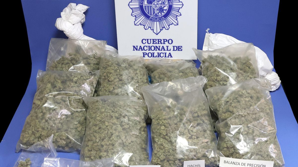 La Policía Nacional interviene más de 150 plantas de marihuana en una plantación indoor en Córdoba
