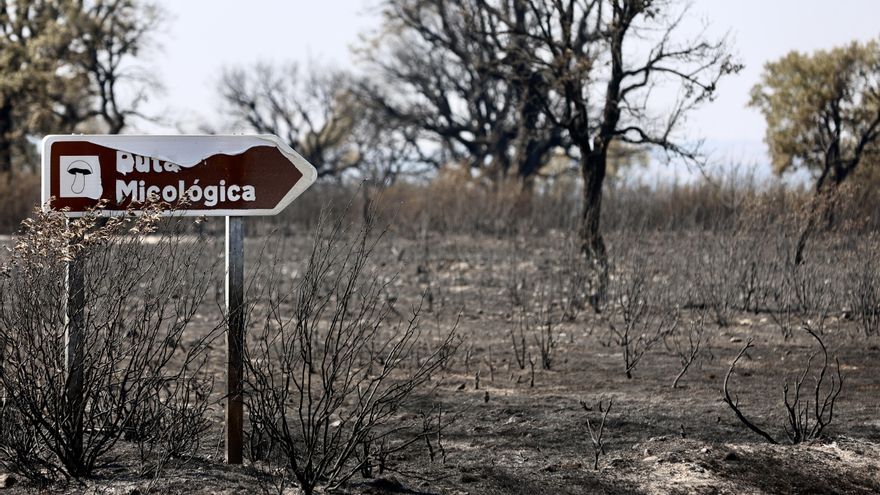 El PSOE acusa a la Junta de rechazar a los bomberos de Zamora para el incendio de Fermoselle