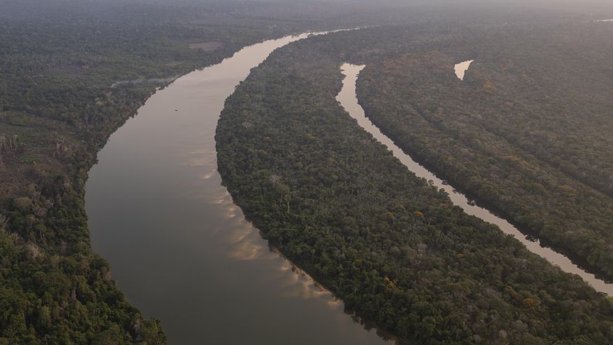 Activistas urgen a ratificar Escazú para atraer a los jóvenes a las causas ambientales